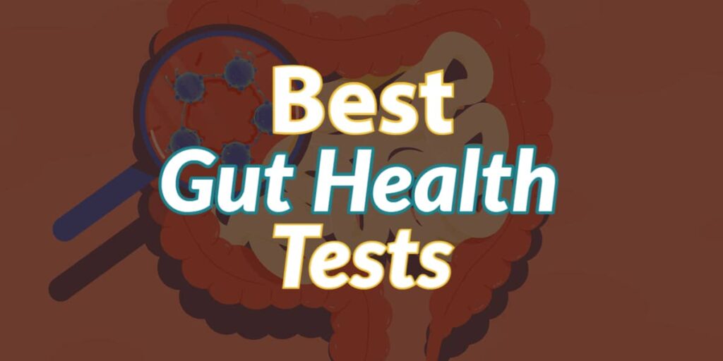 gut-health-and-good-vibes-discover-how-our-gut-impacts-our-overall