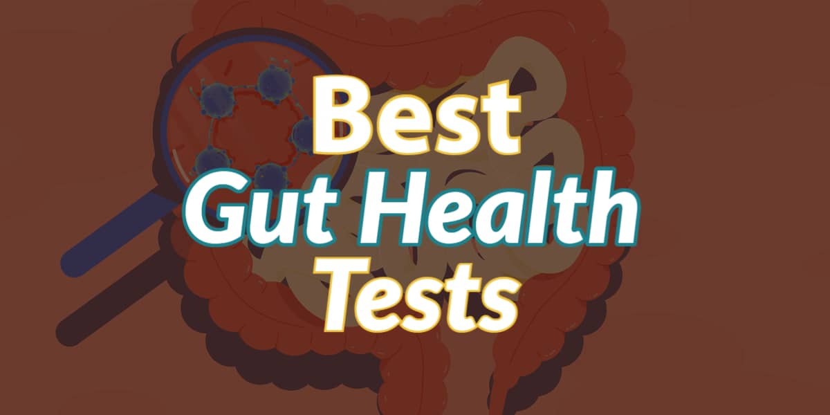 featured image for best gut health test