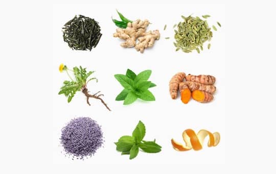 herbaly wellness tea important ingredients