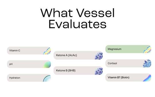 what does vessel health test for