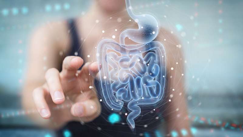 how to test gut health guide best ways