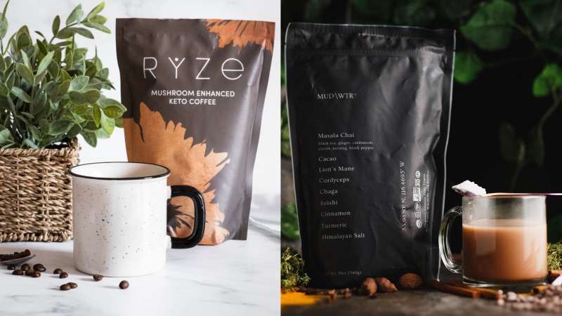 comparing mud wtr vs ryze for better mushroom coffee