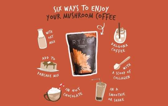 tips for success ryze mushroom coffee