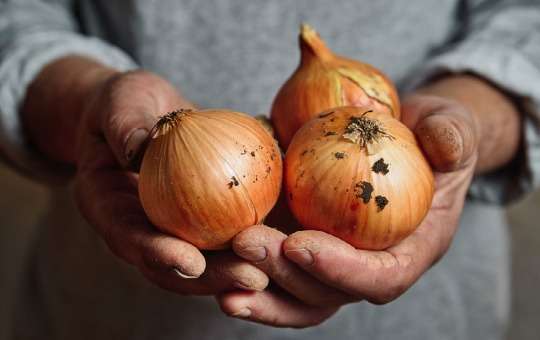 onions superfoods