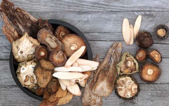 benefiting from mushroom supplements