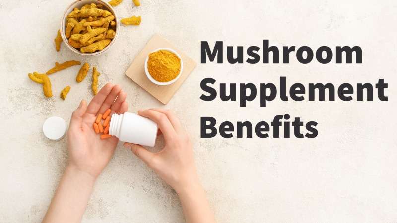 functional mushroom supplement benefits