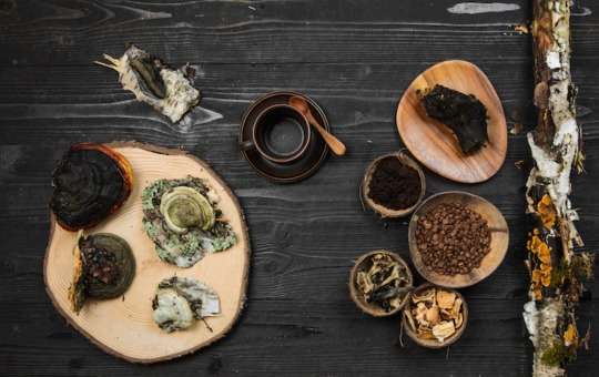 types of mushroom supplements for benefits