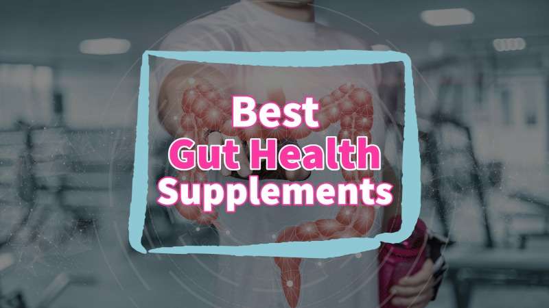 the best supplements for gut health