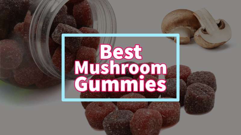 top rated mushroom gummies
