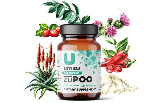 overview of umzu zuPOO