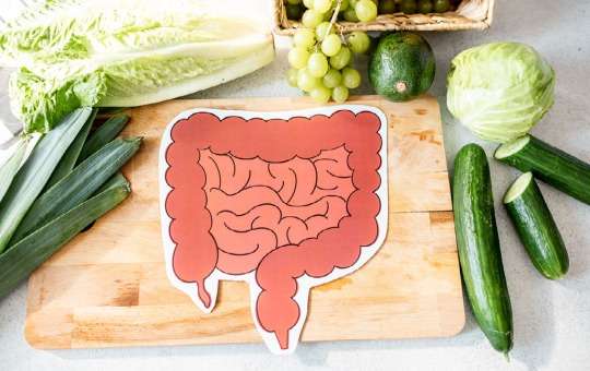healthier gut with probiotics