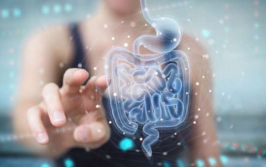 improve gut health with probiotics