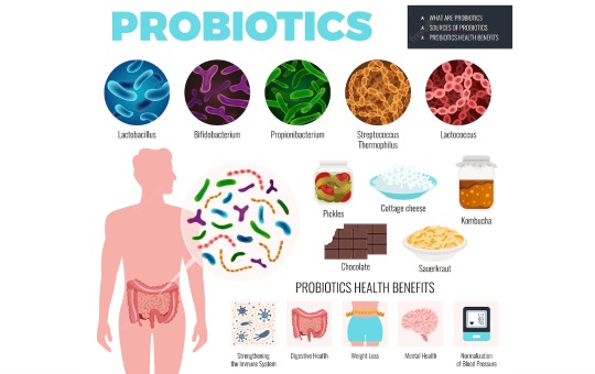 Perimenopause_Probiotics benefits