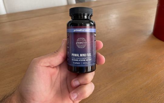 Primal mind fuel supplements in a persons hand